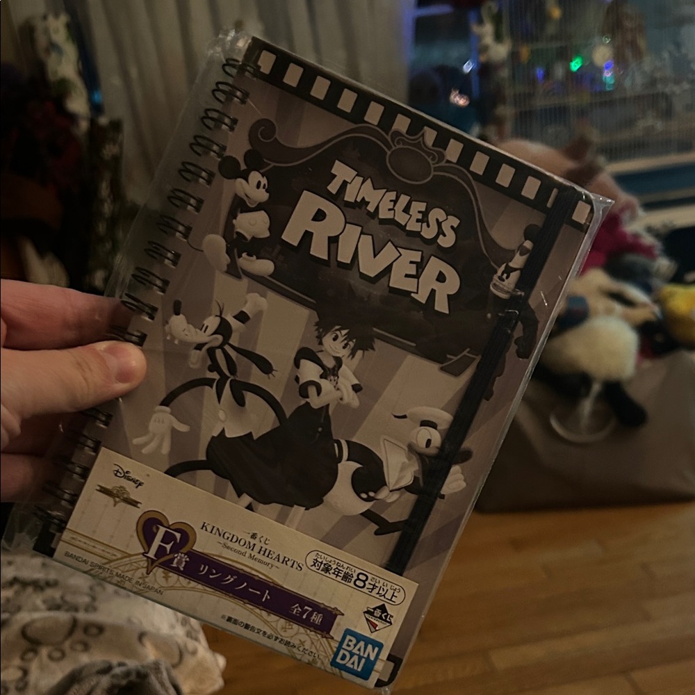 Timeless River Kingdom Hearts Notebook